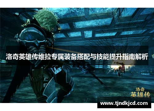 洛奇英雄传维拉专属装备搭配与技能提升指南解析