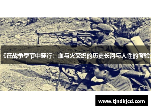 《在战争季节中穿行：血与火交织的历史长河与人性的考验》